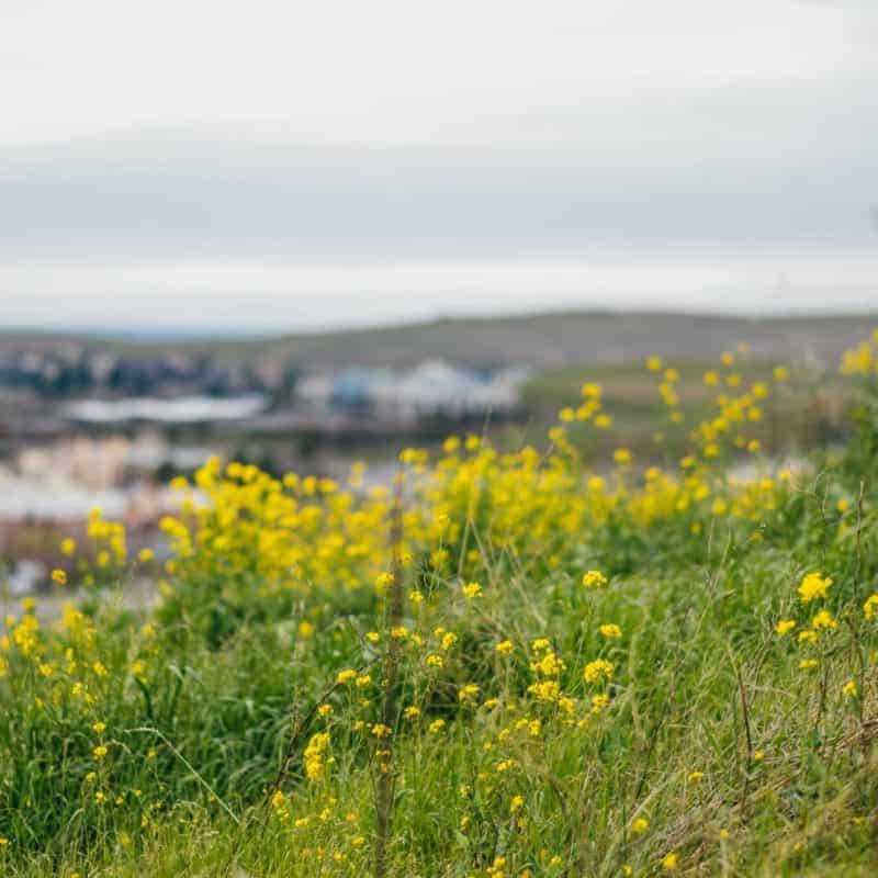 El Dorado Hills